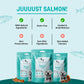Sara's Doggie Treats Dehydrated Salmon Jerky, 70 gm, features a teal packaging with a smiling dog and fish illustrations.