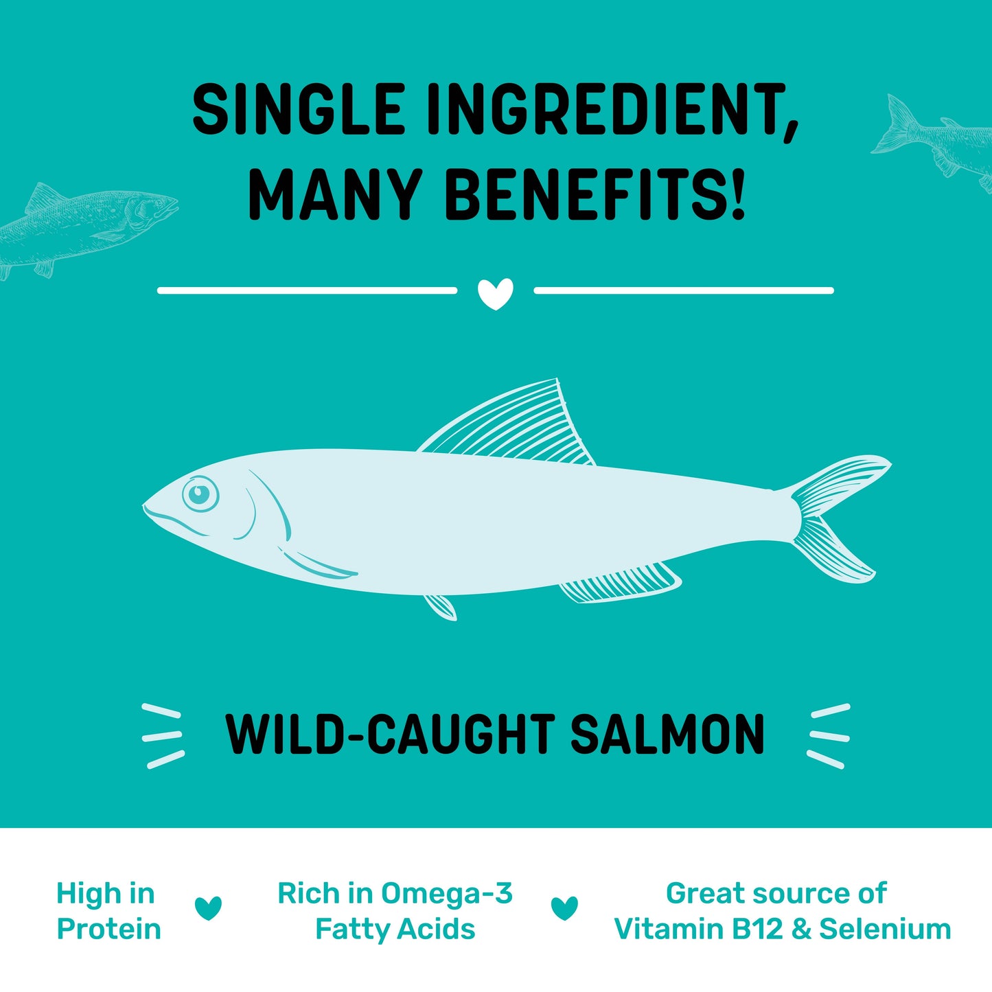 Sara's Doggie Treats Dehydrated Salmon Jerky, 70 gm, features a teal packaging with a smiling dog and fish illustrations.