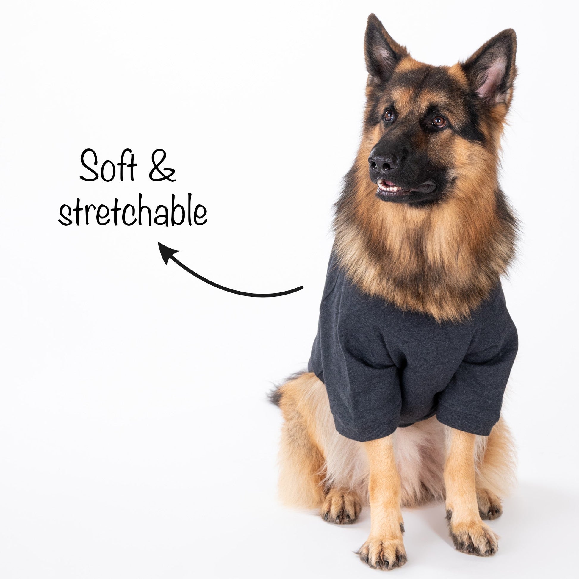 HUFT 24x7 Snuggle Duty Foil Print Pet Sweatshirt - Grey Melange - Heads Up For Tails