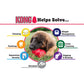KONG Classic Chew Interactive Dog Toy (In multiple sizes) - Heads Up For Tails