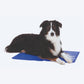Trixie Cooling Mat For Dogs - Blue - Heads Up For Tails