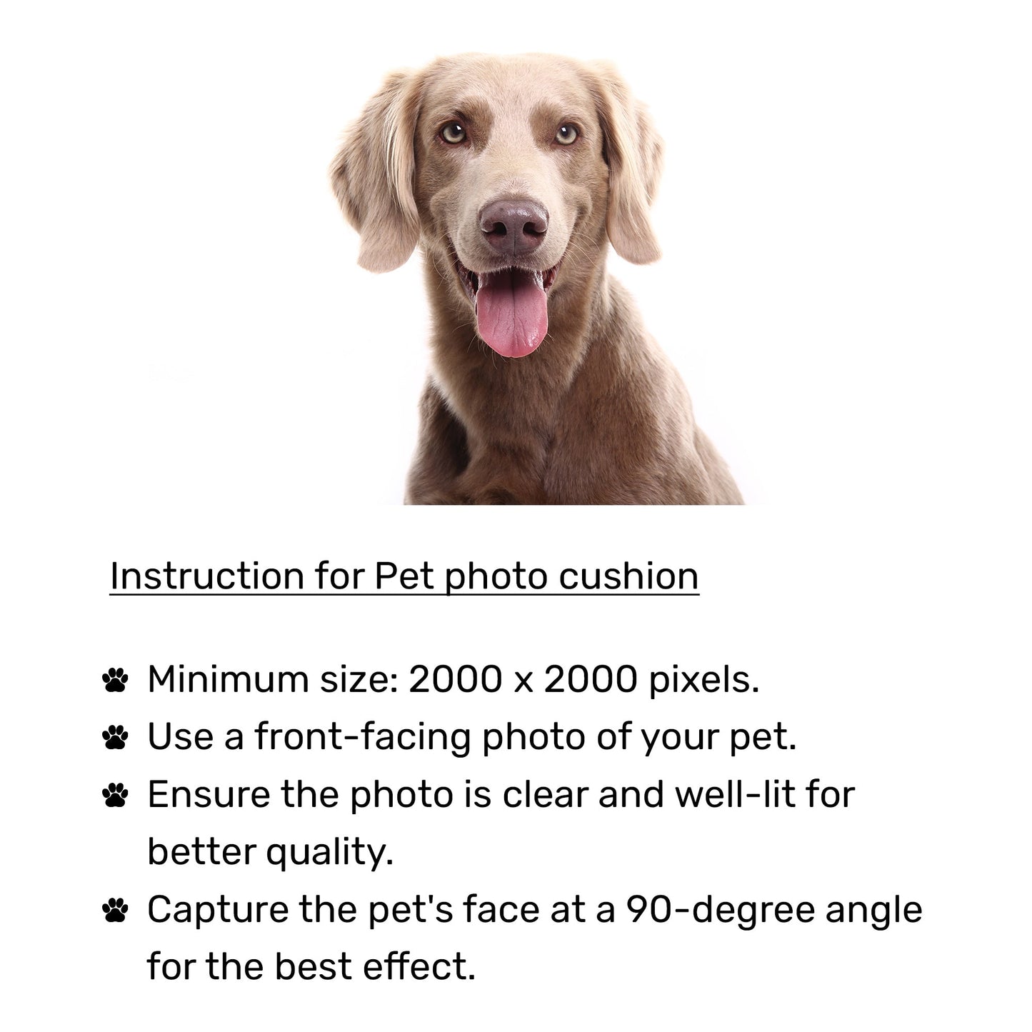 HUFT Personalised Photo Cushion For Dog & Cat - Peach - Heads Up For Tails