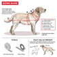 Trixie Premium Nylon Dog Collar, M-L: 35-55cm/ 20mm - Heads Up For Tails