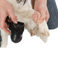 Trixie Walker Active Protective Boots For Dogs - Black - ( 2 Boots Covers 2 Paws Only)4