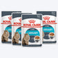 Royal Canin Urinary Care Gravy Wet Cat Food - 85 g packs - Heads Up For Tails