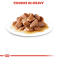 Royal Canin Urinary Care Wet Cat Food - 85 g packs - Heads Up For Tails