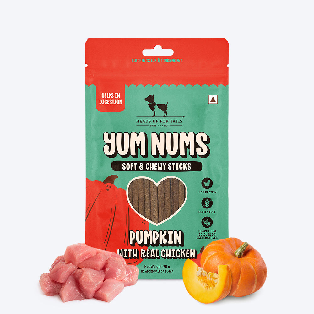 HUFT Yum Nums Soft & Chewy Sticks Pumpkin with Real Chicken Treat For Dogs - 70 g - Heads Up For Tails
