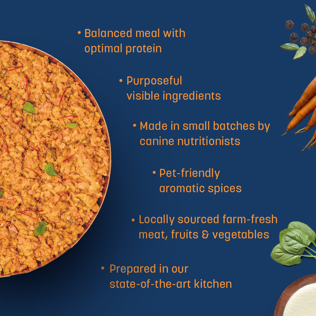 HUFT Sara's Wholesome (Flavours of India) - Biryani Dog Food (2 x 300 g)_04