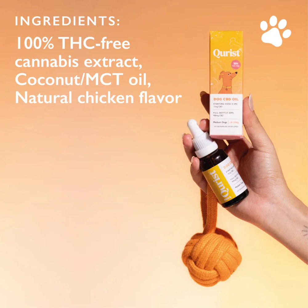Qurist CBD Oil For Medium Dog (10-25 kg) - 900 mg - 30 ml - Heads Up For Tails