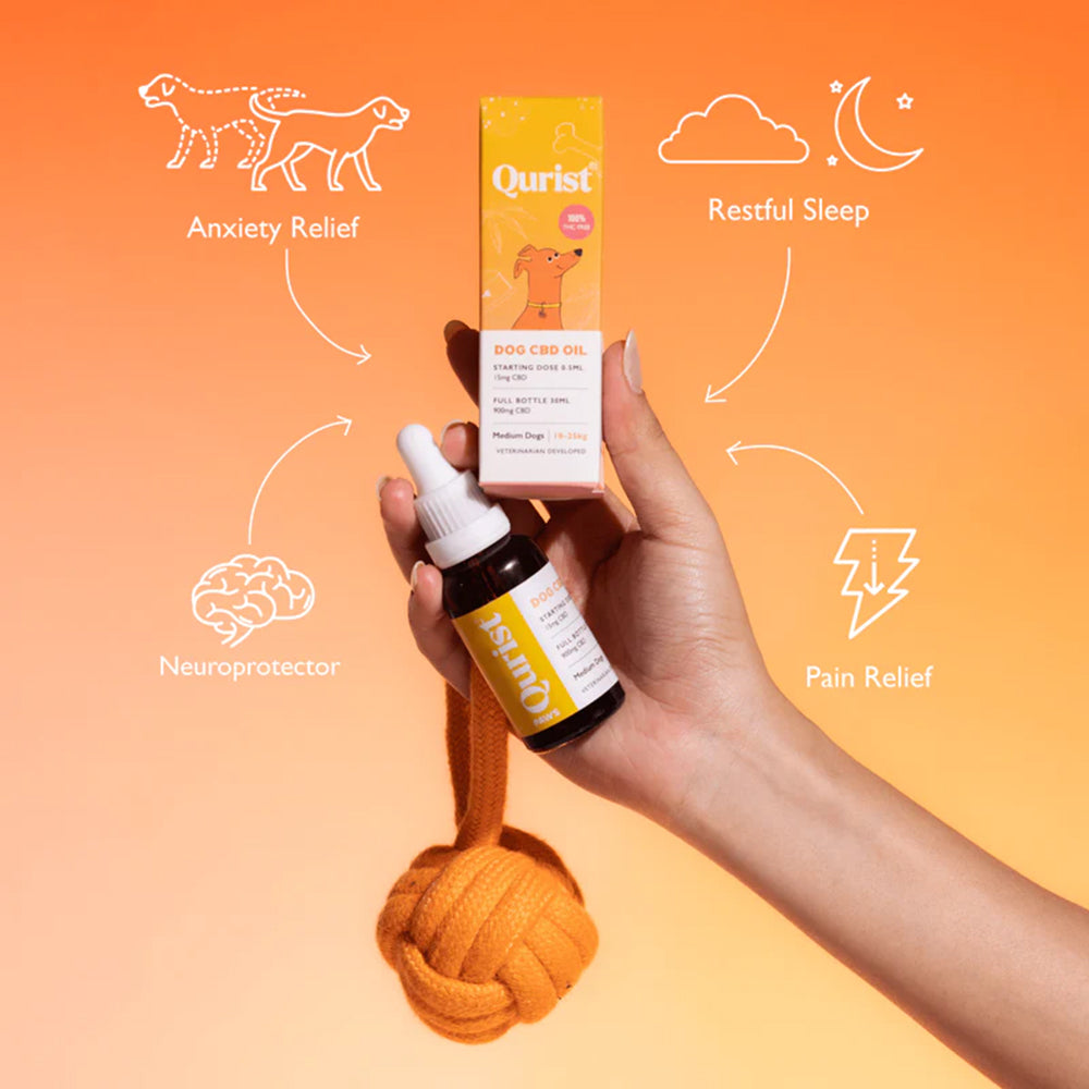 Qurist CBD Oil For Medium Dog (10-25 kg) - 900 mg - 30 ml - Heads Up For Tails