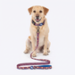 HUFT Playstripes Leash For Dog - Rust & Navy