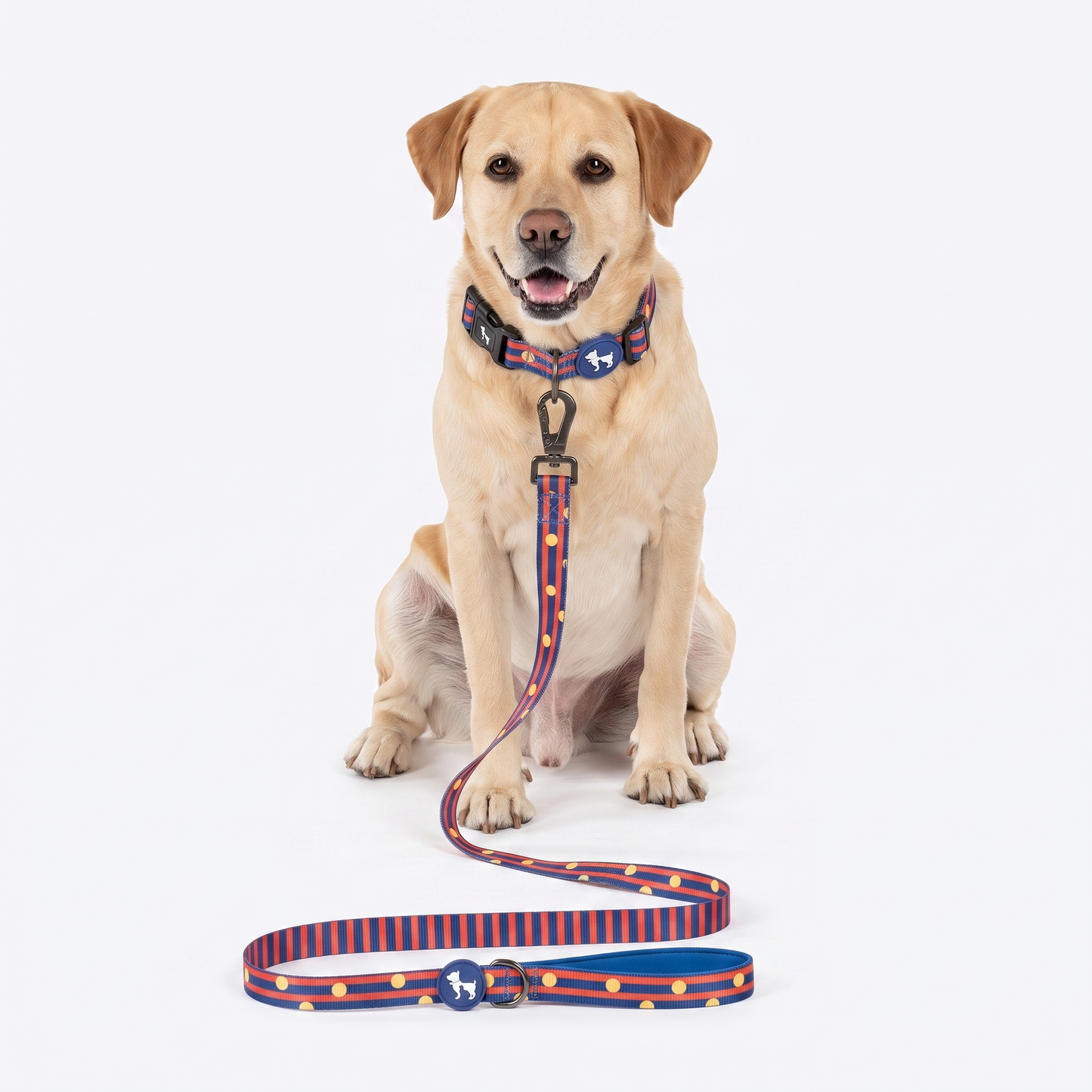 HUFT Playstripes Leash For Dog - Rust & Navy