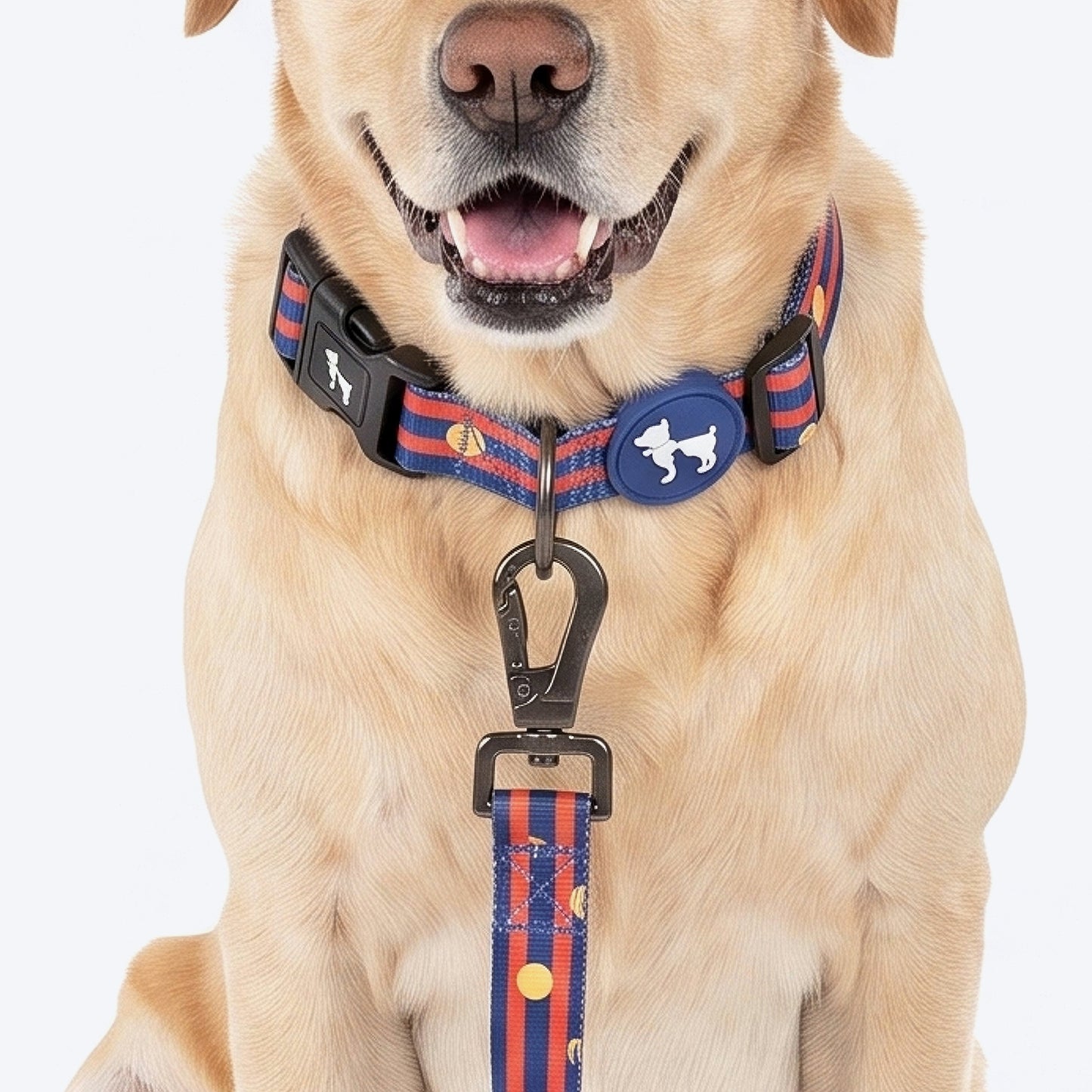 HUFT Playstripes Leash For Dog - Rust & Navy