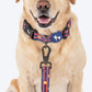 HUFT Playstripes Collar For Dog - Rust & Navy