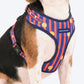 HUFT Playstripes Adjustable Harness For Dog - Rust & Navy