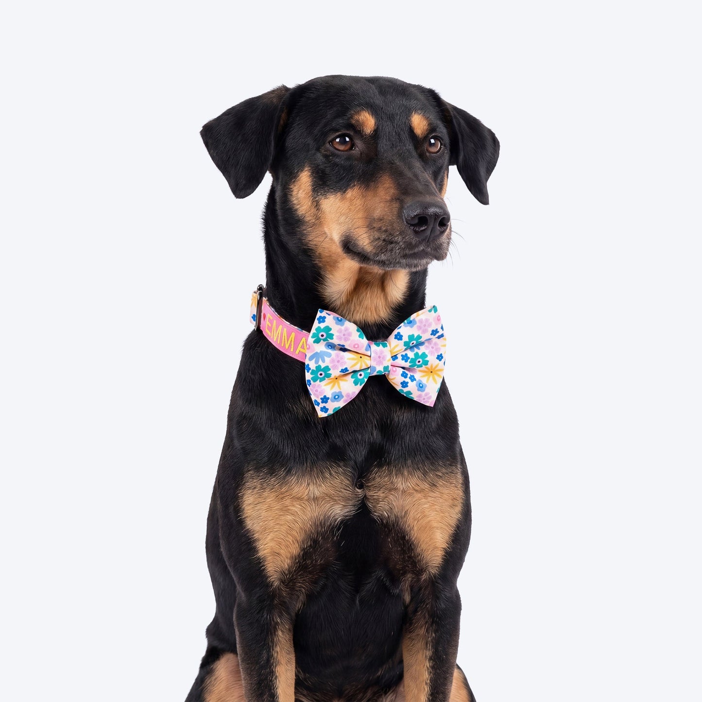 HUFT Personalised Bloomscape Collar With Bow Tie For Dog - Peach - Heads Up For Tails