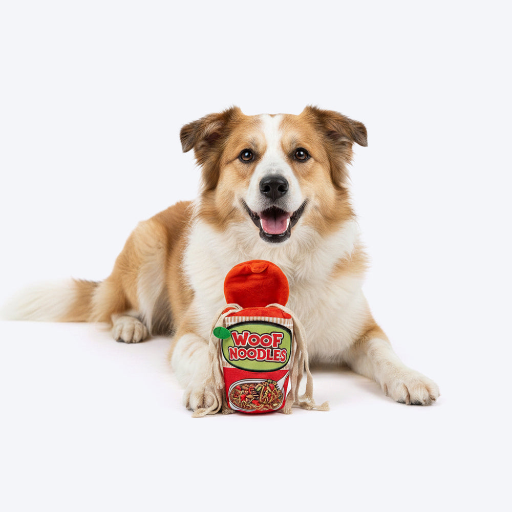 HUFT Woof Noodles Plush Toy For Dog - Multicolor