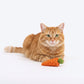 HUFT Carrotini Rattle Toy For Cat - Orange