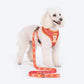 HUFT Teddy Adjustable Harness For Dog - Red