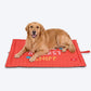 HUFT Love At First Sniff Flat Mat For Dog - Red