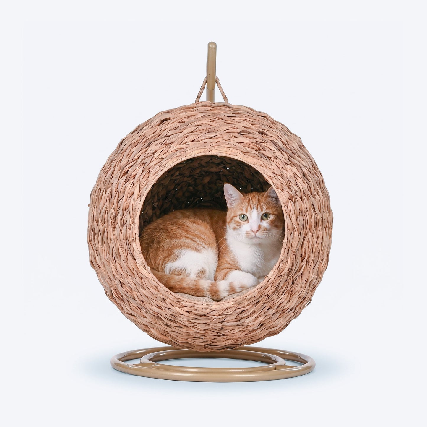 HUFT Swing And Snooze Bed With Cushion For Cat - Brown