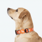 HUFT Teddy Collar For Dog - Red