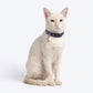 HUFT Meowvelous Collars For Cat - Dark Blue & Pastel Blue