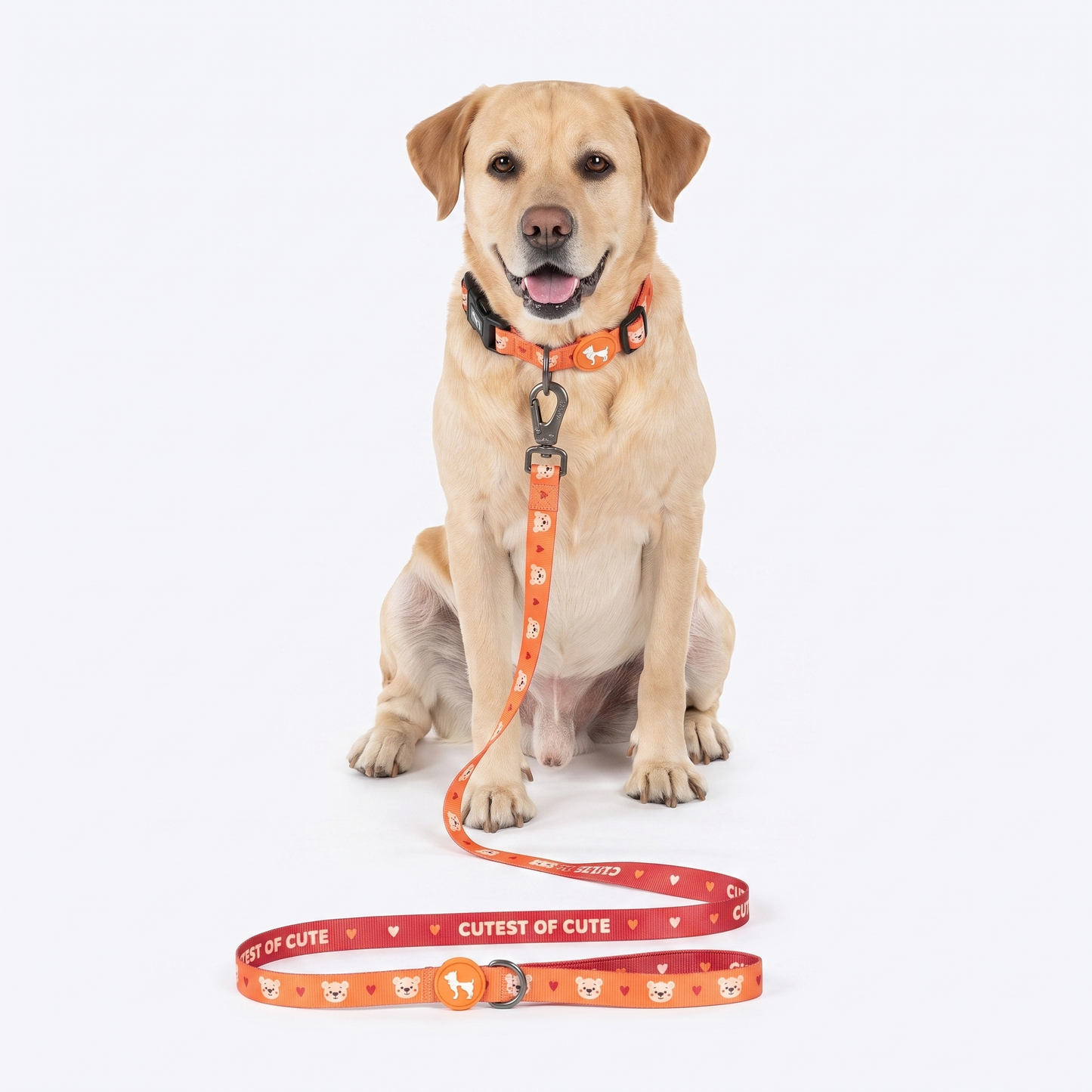 HUFT Teddy Leash For Dog - Red