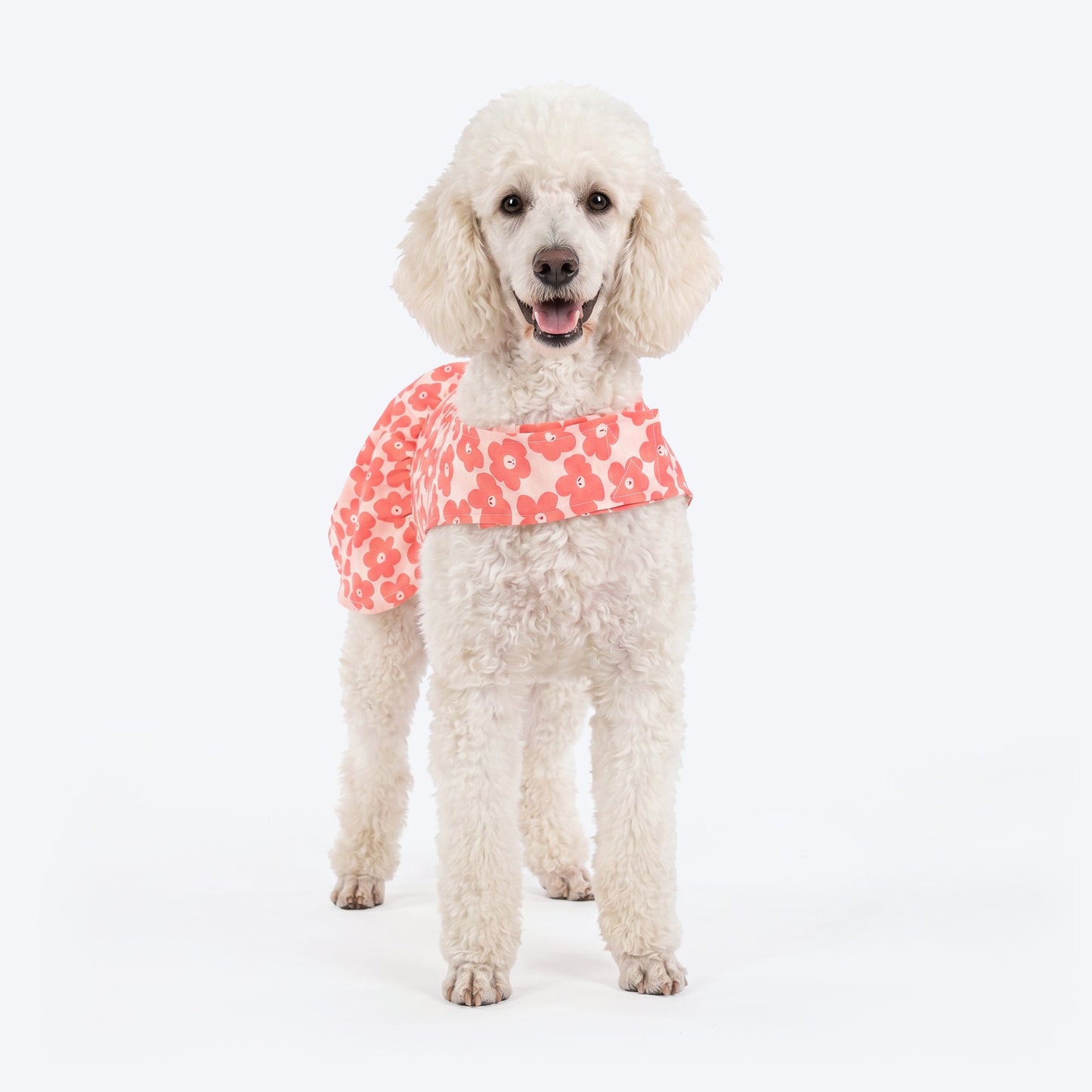 HUFT Daisy Printed Dress For Dog - Coral & White