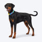 Dash Dog Padded Collar For Dog - Royal Blue & Yellow