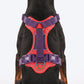 Dash Dog Walk Pro Harness For Dog - Red & Purple