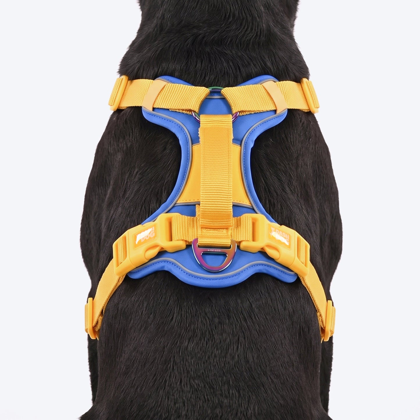Dash Dog Walk Pro Harness For Dog - Royal Blue & Yellow