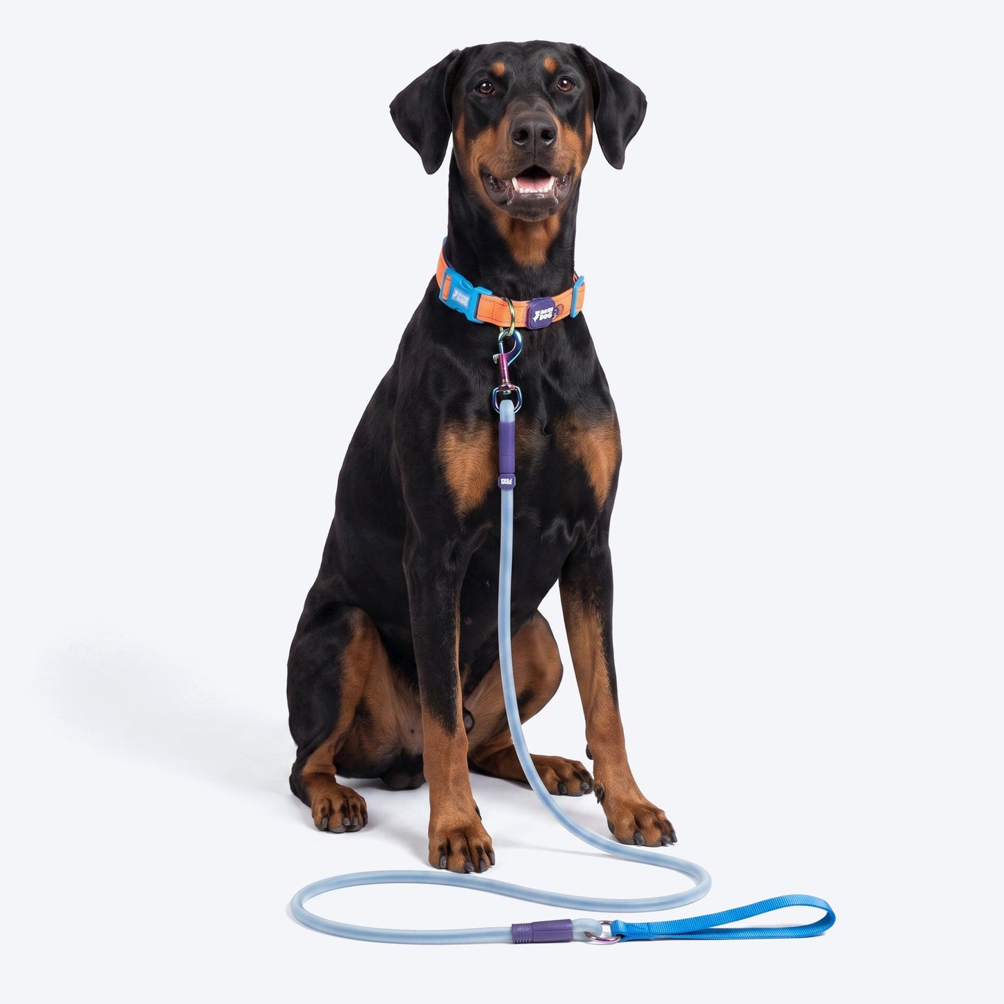 Dash Dog Zoom Easy Leash For Dog - Blue