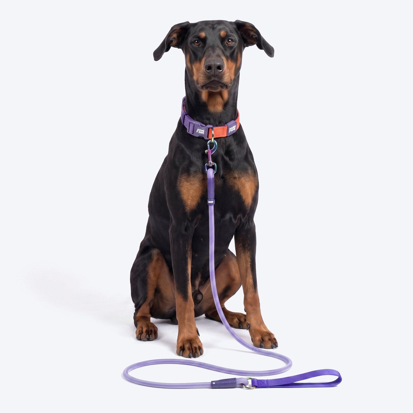 Dash Dog Zoom Easy Leash For Dog - Purple