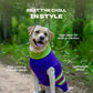 Dash Dog Winter Prism Sweater For Dog - Purple - Heads Up For Tails