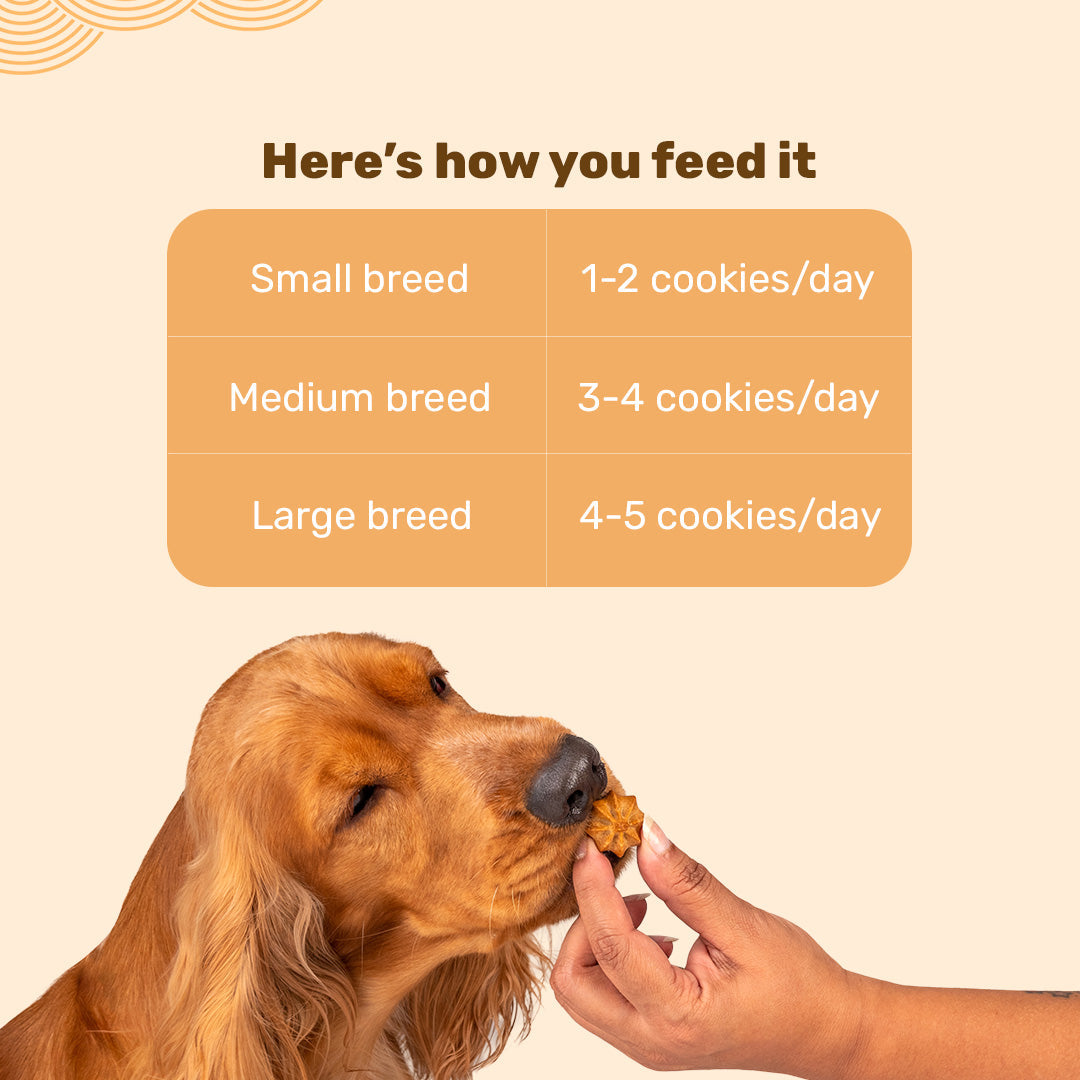 HUFT Goat Milk Dog Cookie Combo - Apple & Pumpkin - 200g Each - Heads Up For Tails