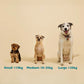 Qurist CBD Oil For Small Dog (Below 10 kg) - 450 mg - 30 ml - Heads Up For Tails