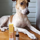 Qurist CBD Oil For Medium Dog (10-25 kg) - 900 mg - 30 ml - Heads Up For Tails
