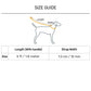 Dash Dog Chaser Rope Leash For Dog - Royal Blue