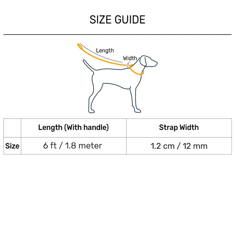 Dash Dog Chaser Rope Leash For Dog - Royal Blue