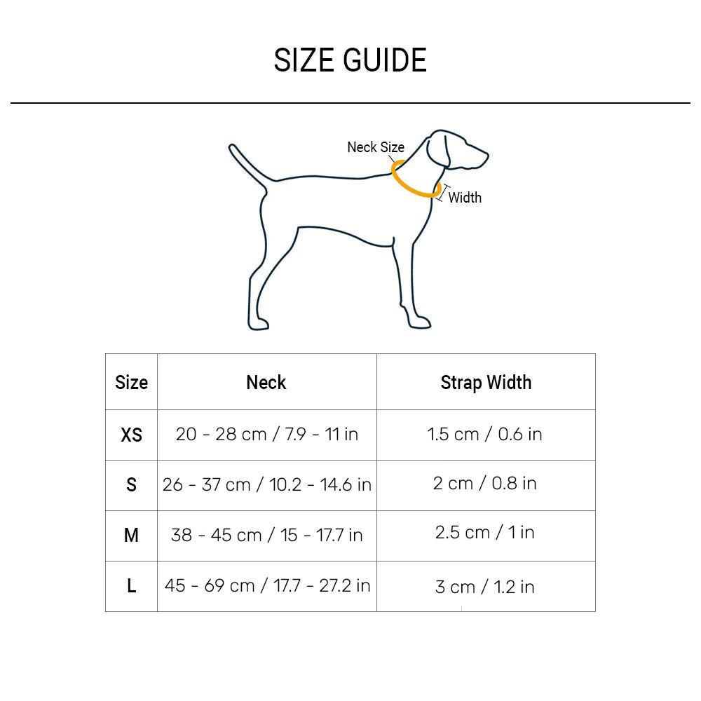 HUFT Basics Dog Collar - Yellow_05