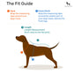 Ruffwear Top Rope Dog Collar - Seafoam - Heads Up For Tails