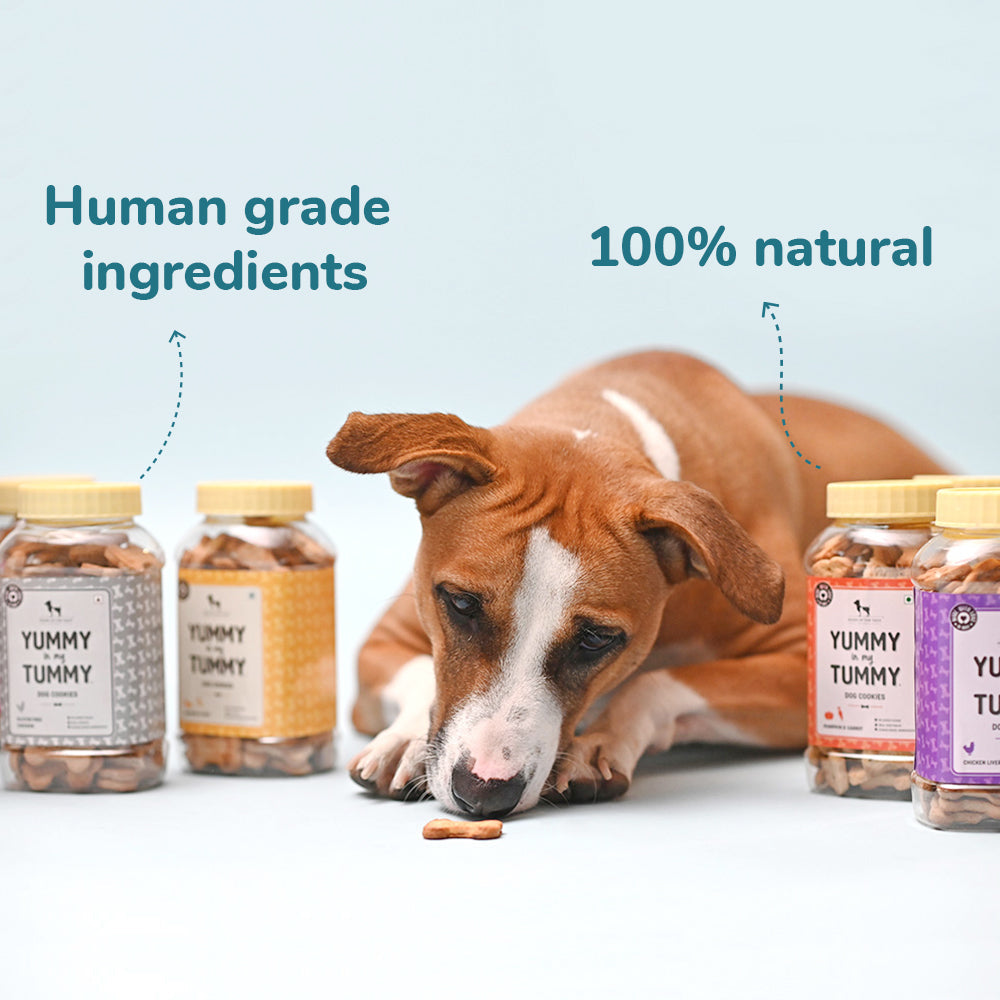 HUFT YIMT Dog Biscuits Combo - Chicken Liver & Chicken & Cheese - Pack of 2 - (320 g Each) - Heads Up For Tails