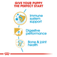 Royal Canin German Shepherd Junior Dry Puppy Food-4