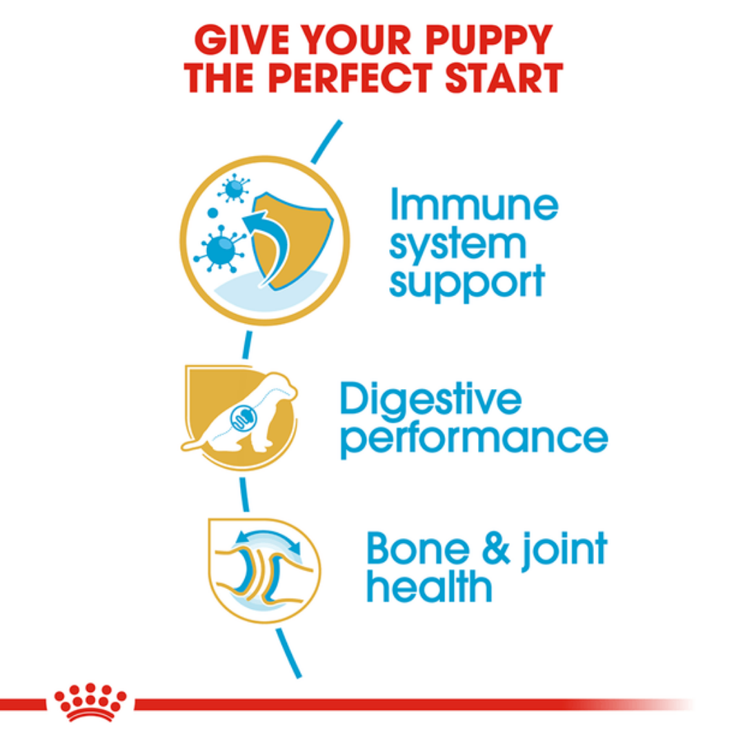 Royal Canin German Shepherd Junior Dry Puppy Food-4