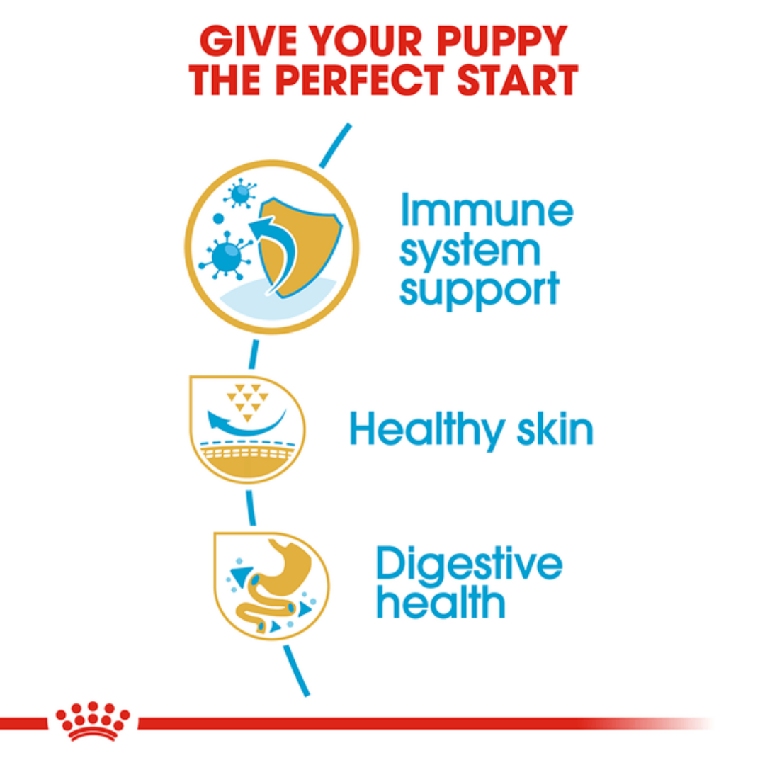 Royal Canin Pug Junior Food for Puppies-2