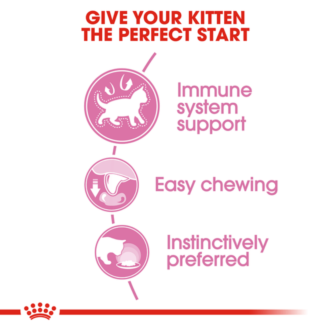 Royal Canin Jelly Wet Kitten Food - 85 g-2