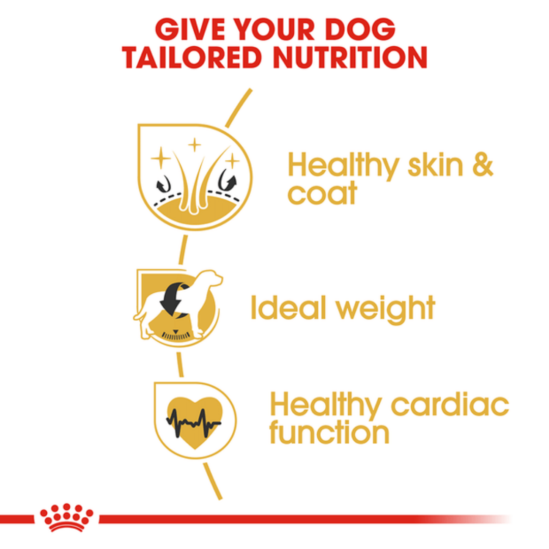 Royal Canin Cocker Spaniel Adult Dry Dog Food-4