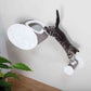 Trixie Cuddly Cave for Wall Mounting -42 â‚¬Å¡Â¬â€¦Â¡Â¬â€šÂ¬Ã…Â¡Â¬Â¯Â¿Â½ 29 â‚¬Å¡Â¬â€¦Â¡Â¬â€šÂ¬Ã…Â¡Â¬Â¯Â¿Â½ 28 cm - Heads Up For Tails