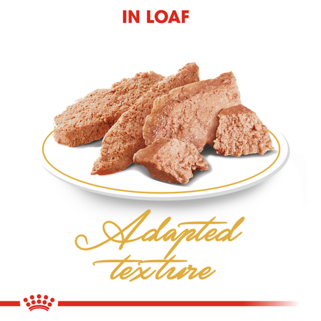 Royal Canin Loaf-Mousse Persian Wet Cat Food - 85 g-2